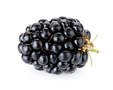 Ripe blackberry fruit