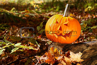 Funny face pumpkin on tree trunk in forest