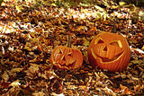 Funny pumpkins in leaves on the ground