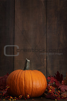 Large pumpkin with leaves against a wood background
