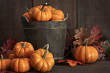 Tiny pumpkins in wooden bucket on table