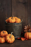 Small pumpkins in wooden bucket on table