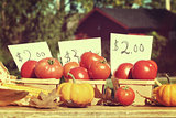 Fresh ripened tomatoes for sale at roadside stand