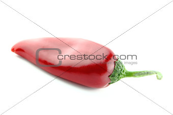 red hot chili 