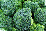 Fresh broccoli