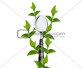 green leaves around Spoon