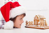 Boy looking at gingerbread house