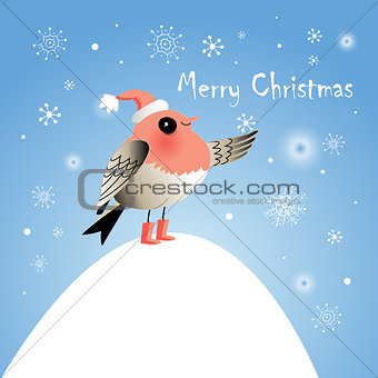 Christmas bird