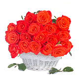 bright orange  roses in white basket