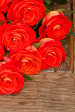 bright orange  roses on wooden table