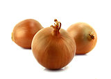 Ripe golden onions