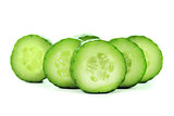Fresh Cucumber 