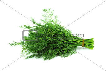 bunch dill herb