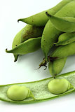 broad bean pods and beans