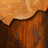 Section of Tree Trunk  - Background