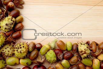Two-sided frame of natural fall material - horse chestnuts, acor