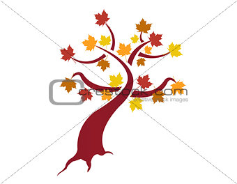 Autumn Tree illustration design over white