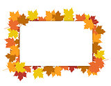 Frame from the autumn leaves illustration
