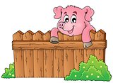 Pig theme image 3