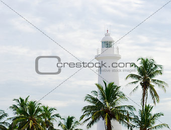 White lighthouse under tropical palms 