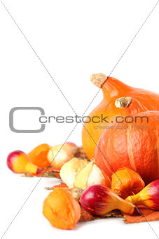 Autumn setting with hokkaido pumpkins
