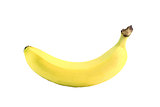 fresh ripe banana
