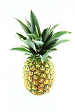 ripe pineapple