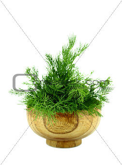 bunch dill herb