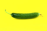 Fresh Cucumber 