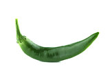 Green hot chili 