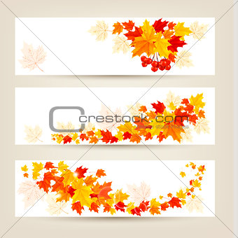 Three autumn banners with colorful leaves Vector 
