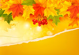 Autumn background with colorful leaves and ripped paper. Vector 