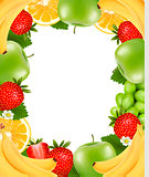 Frame made of fresh juicy fruit. Vector. 