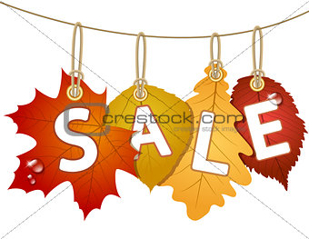 Hanging vector sale with autumn leaves.
