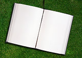 blank opened book