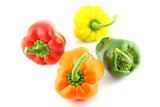 Group of colorful sweet bell pepper 