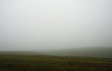 Field in fog in Autumn
