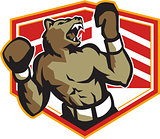 Angry Bear Boxer Boxing Retro