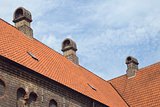 Roof of an old monastery