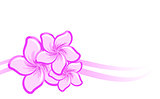 Vector background with beautiful purple flowers
