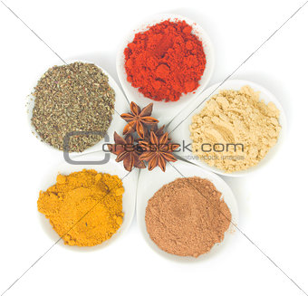 plates with  spices on white