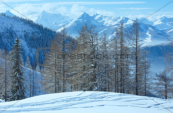 Winter grove near Dachstein mountain massif