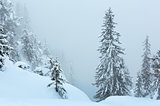 Winter mountain misty landscape