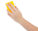 Female hand holding a cleaning sponge