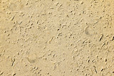 Sand and sea shell fossil texture ideal for a sea fish or beach themed background