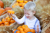 boy at the pumpkin patch