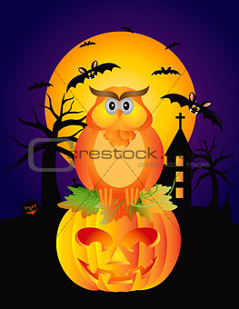 Halloween Owl Pumpkin and Bats Illustration