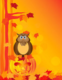 Halloween Owl Sitting on Pumpkin in Forest Illustration