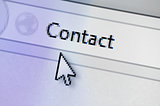 Word Contact in internet browser search bar
