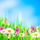 Beauty summer backgrounds for your design